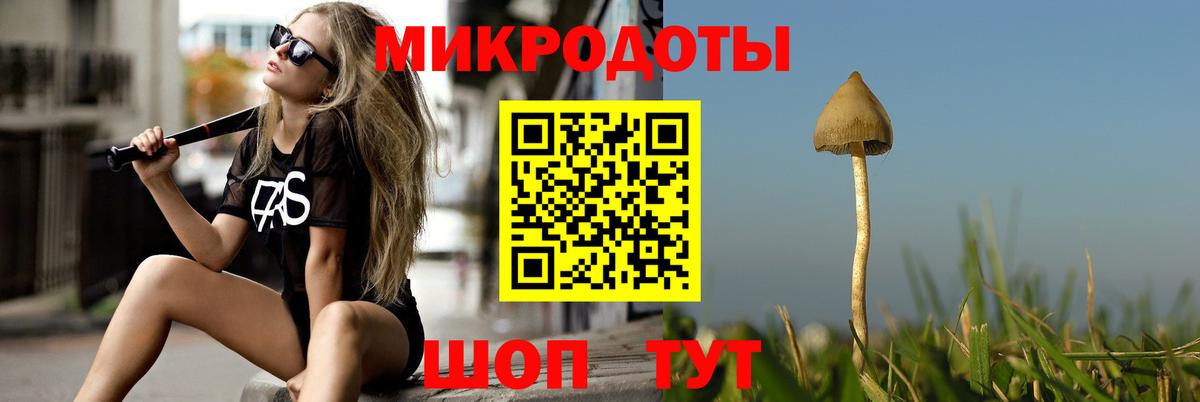 Галлюциногенные грибы ЛСД Кисловодск